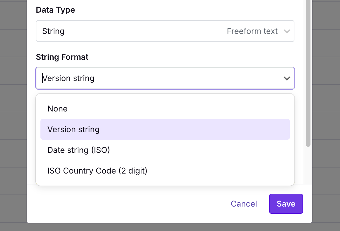 Version string attribute